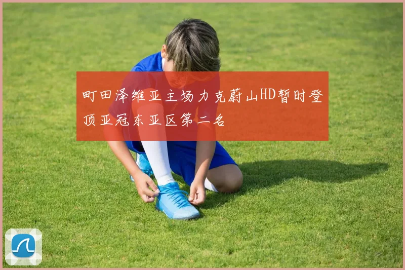 町田泽维亚主场力克蔚山HD暂时登顶亚冠东亚区第二名