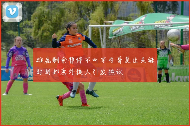 雄鹿剩余暂停不叫字母哥复出关键时刻却意外换人引发热议