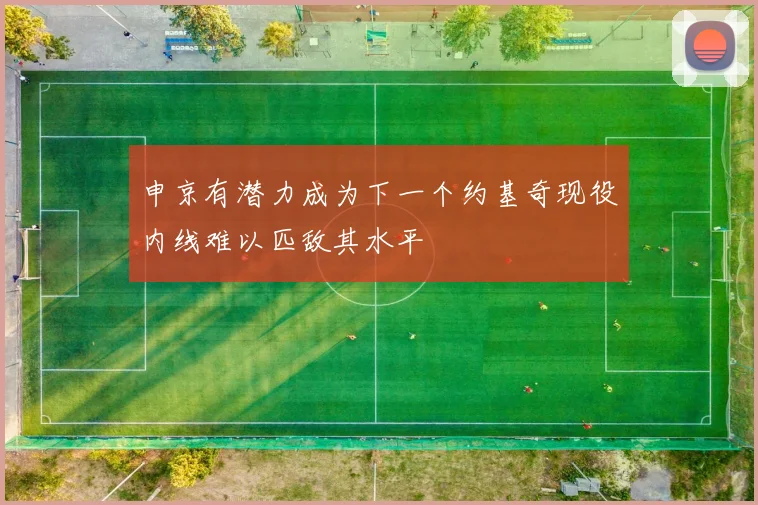 申京有潜力成为下一个约基奇现役内线难以匹敌其水平