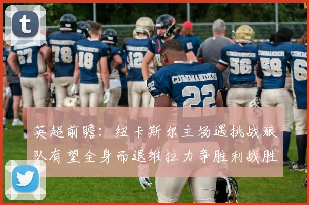 英超前瞻：纽卡斯尔主场遇挑战狼队有望全身而退维拉力争胜利战胜埃弗顿